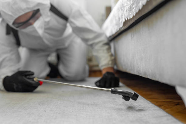 Professional Pest Control technician working in Braxton County County, WV